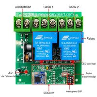 CC 8~80V Interrupteur Sans Fil 2 Voies 30A Sortie Relais Récepteur (Modèle: 0020101)